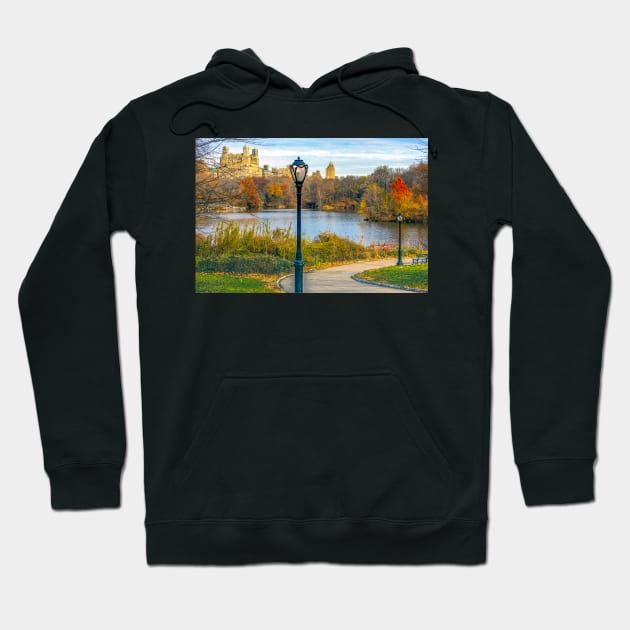 View of Central Park, New York city in Autumn Hoodie by Itsgrimupnorth